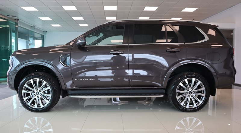 EVEREST PLATINUM