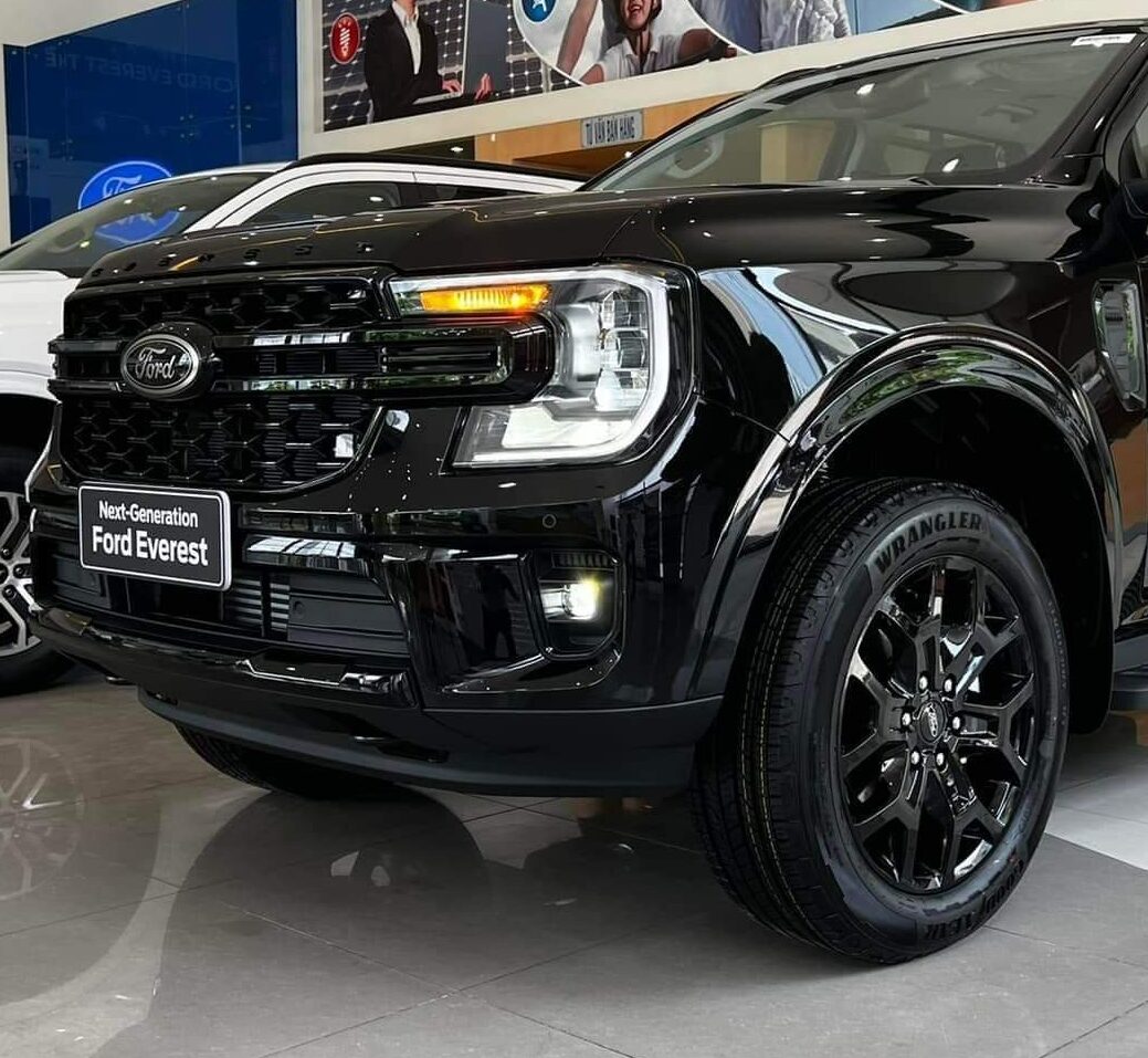 EVEREST SPORT