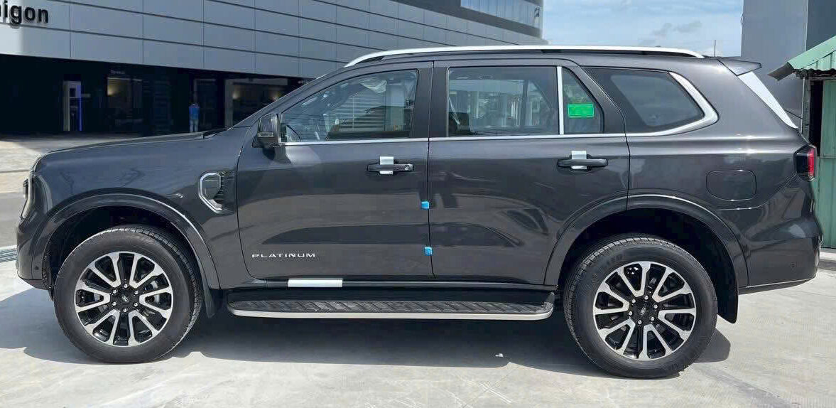 EVEREST PLATINUM