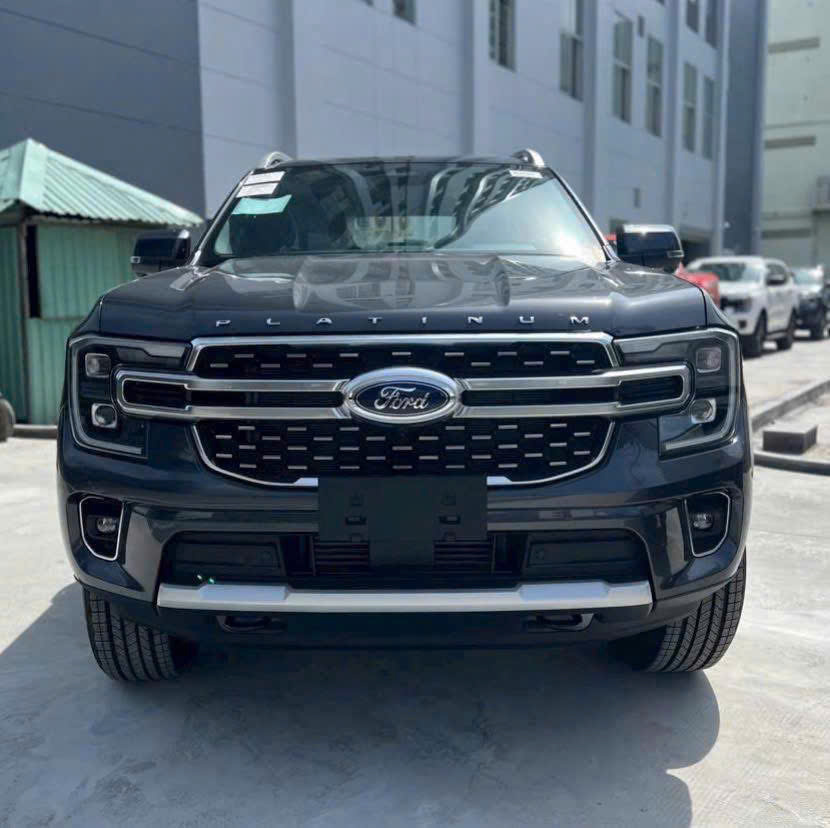 EVEREST PLATINUM